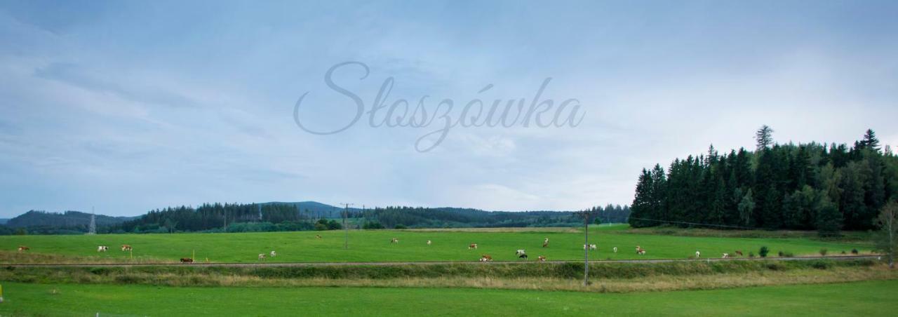 Agroturystyka Sloszowka Duszniki Zdrój Dış mekan fotoğraf